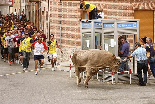 Celebración del Toro Enmaromado en Astudillo. Celebración del Toro Enmaromado en Astudillo.