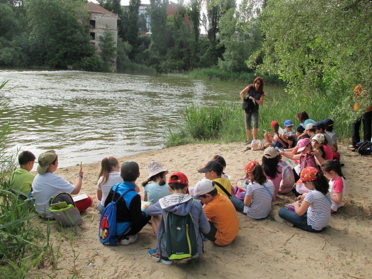 Escolares reciben explicaciones de una monitora junto al río Duero. Foto: CHD